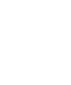 MOKARA - The Value of Professional